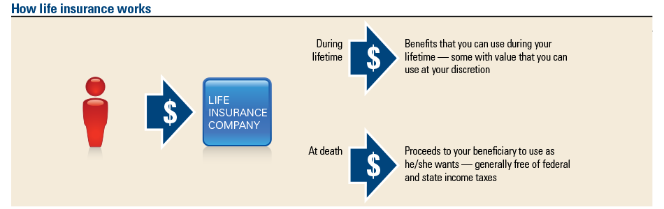 insurance state farm insurance american family insurance insurance term life insurance best life insurance insurance companies life insurance quotes